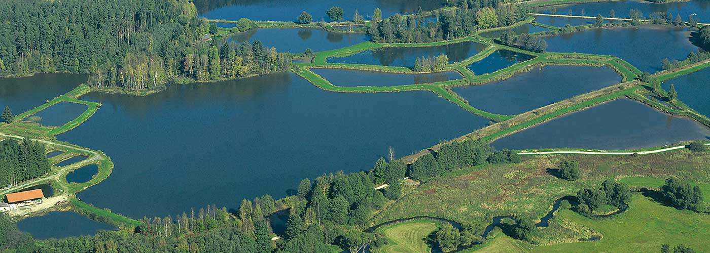 Teichlandschaft bei Tirschenreuth mit Naturschutzgroßprojekt "Waldnaabaue"