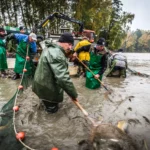 Abfischen Netzziehen