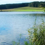 Historischer Teich Rothenbürger Weiher