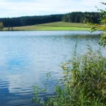 Historischer Teich Rothenbürger Weiher