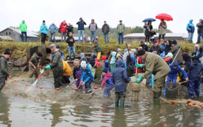 Naturerlebnis hautnah – Abfischen für Kinder am Gowerlhof