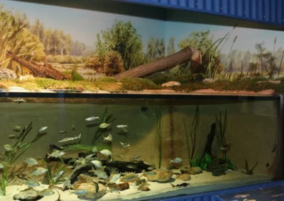 MuseumsQuartier Aquarium