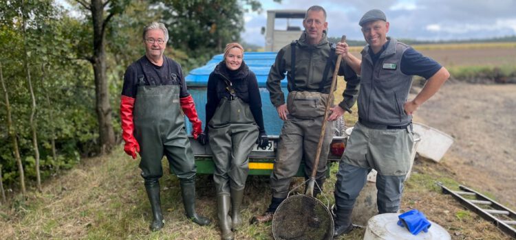 Besuch aus der Schweiz zum Auftakt der Karpfensaison im Land der 1000 Teiche