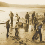 Abfischen Rothenbuerger Weiher 1960