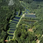 Forellenzucht 2