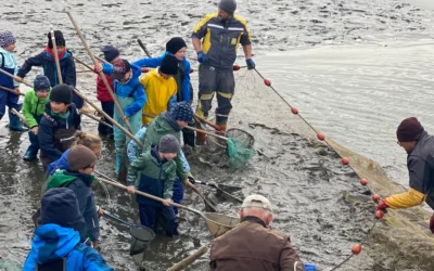 Kinderabfischen am Gowerlhof 2026