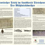 Tafel Mühlnickelweiher