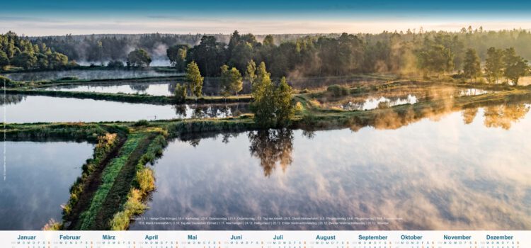 Wandkalender „Erlebnis Fisch“ 2024 ab sofort erhältlich