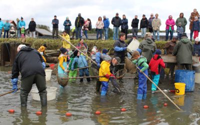 Naturerlebnis hautnah – Abfischen für Kinder am Gowerlhof