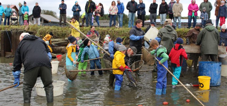 Naturerlebnis hautnah – Abfischen für Kinder am Gowerlhof